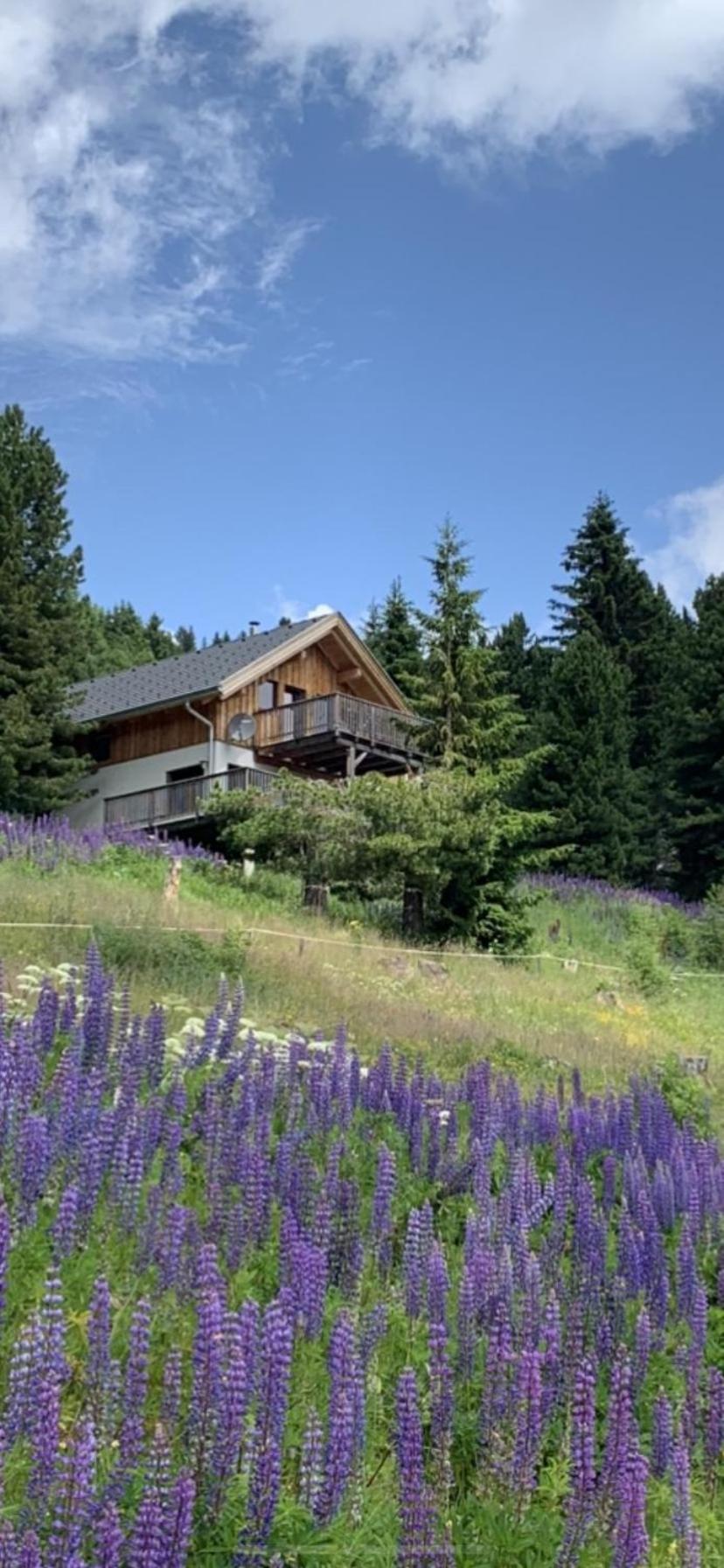 Chalet Claassen Turracher Höhe Buitenkant foto